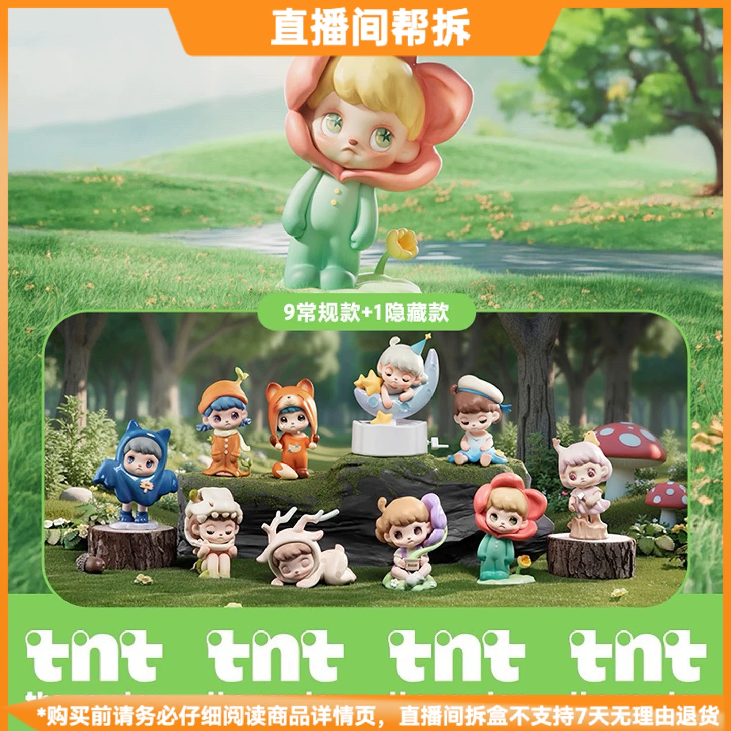 ANMOO ListenAttentively BLIND BOX Series Figures