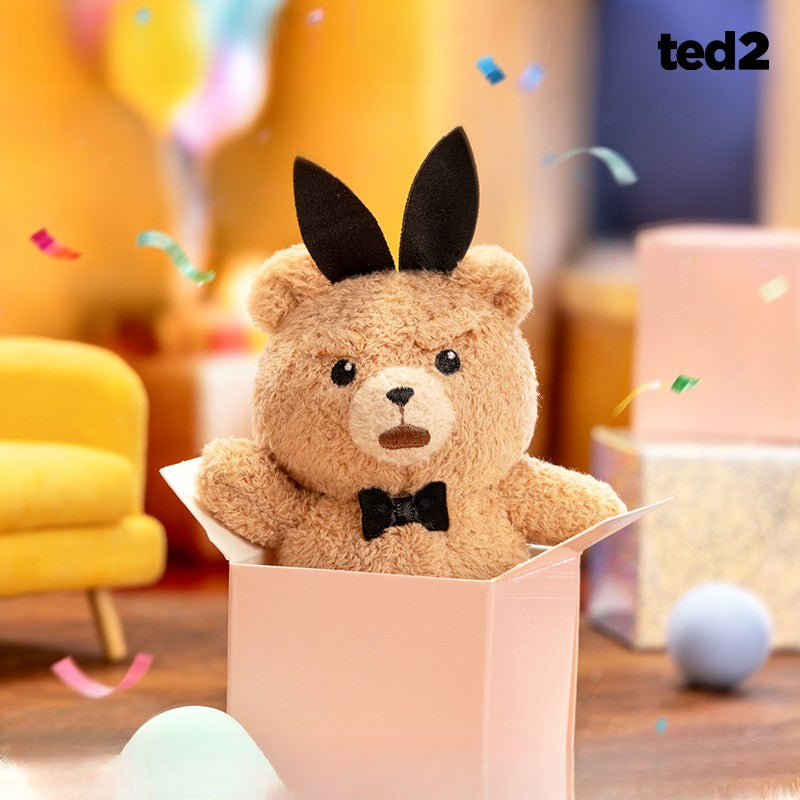 Baby Ted Series Plush Blind Box