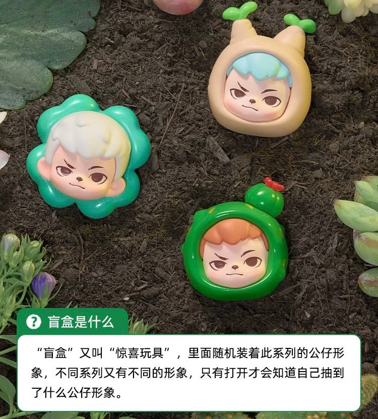 Fun with Plants BLIND BOX Series Figures