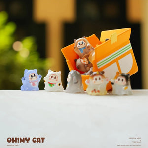 THE SLLO ON MY CAT Series Beans Blind Bag
