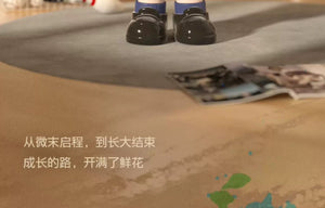 Rayan youthful days BLIND BOX Series Figures