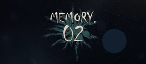ANMOO Fragmented Memories Blind Box Series Figures