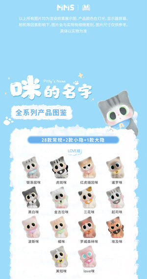 Pitty's name BLIND BOX Series Figures