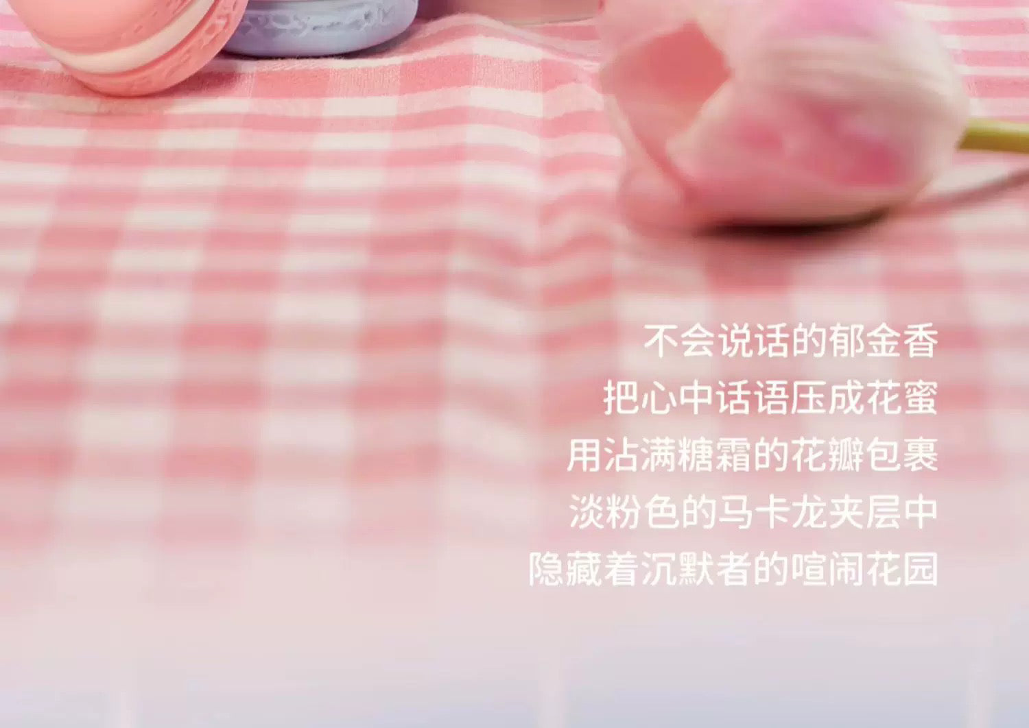 BaoBao's Seasons Sweet House Series Squeeze Toy Blind Box Series Figures