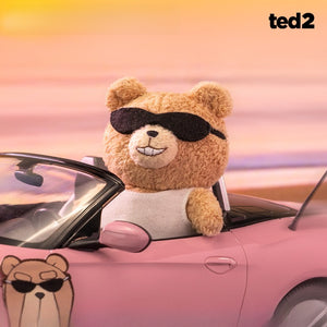 Baby Ted Series Plush Blind Box